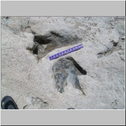 100_0514 (2009-26-07).JPG